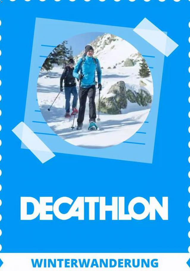 Aktuelle Aktionen . Decathlon (2021-02-17-2021-02-17)