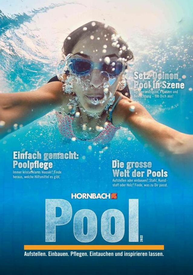 Pool. Hornbach (2022-05-15-2022-05-15)