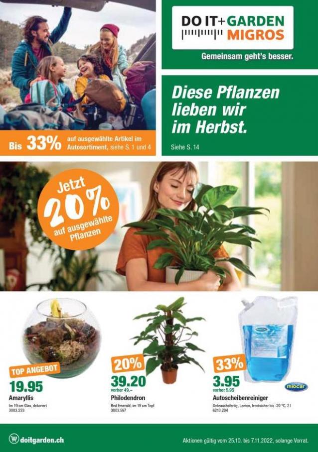 Do it + Garden Unser neuer Flyer ist da!. Do it + Garden (2022-11-07-2022-11-07)