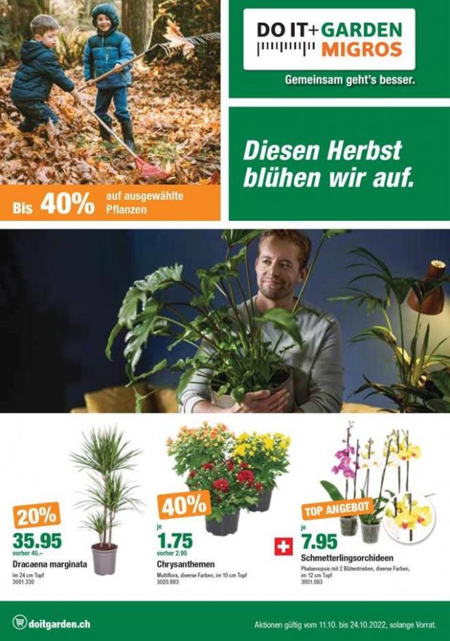 Do it + Garden Unser neuer Flyer ist da!. Do it + Garden (2022-10-24-2022-10-24)