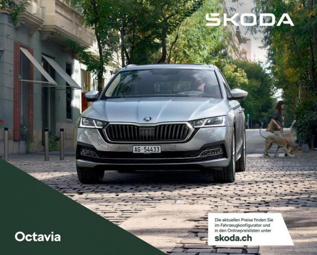 Prospekt Octavia. Škoda (2023-12-31-2023-12-31)